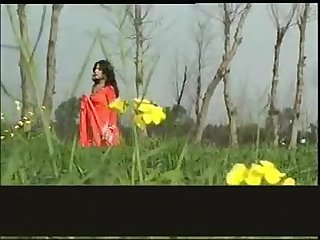 shafa kala jora
