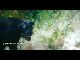 VID-20151007-WA0030